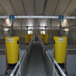 Computer controlled feeding systems